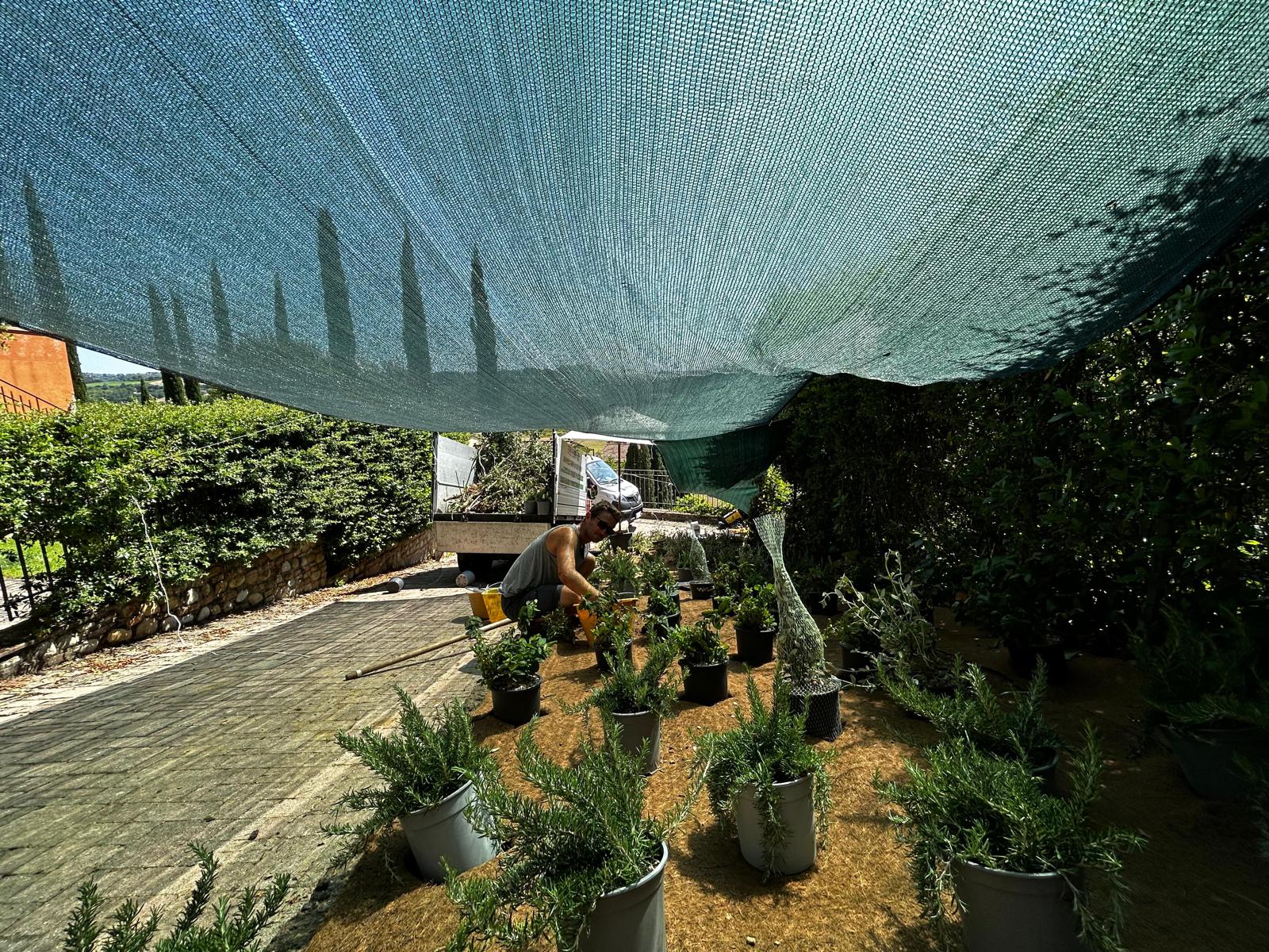 Our team working in a garden